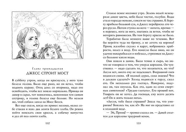 Книга Мост в Терабитию (Кэтрин Патерсон) — 14