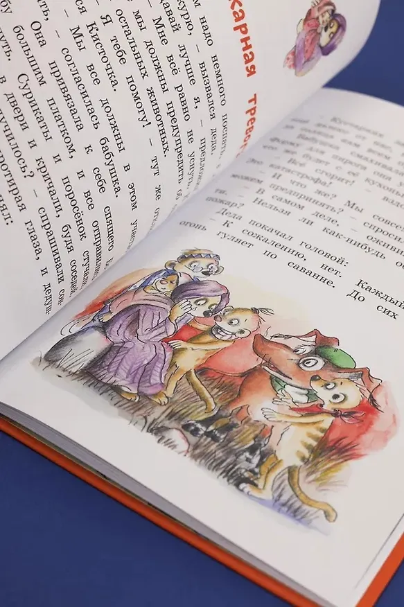Книга Тафити и великий пожар (Юлия Бёме) — 12