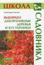 Выбираем декоративные деревья и кустарники — 2103586 — 1