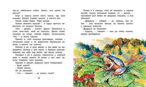 Книга Беспокойный хвостик (Геннадий Снегирёв) — 4