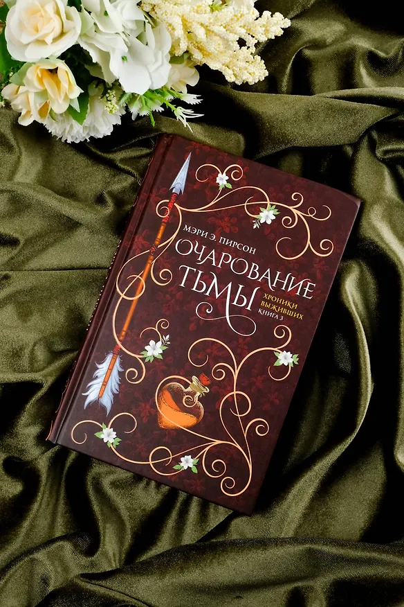 Книга Очарование тьмы (Мэри Э. Пирсон) — 6