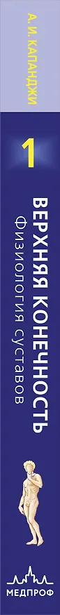 Книга Верхняя конечность. Физиология суставов (обновленное издание) (Адальберт Капанджи) — 3