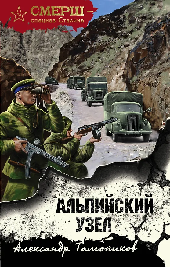 Книга Альпийский узел (Александр Тамоников) — 1