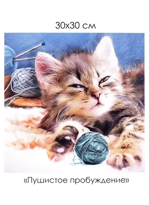 Набор для творчества. Алмазные узоры "Пушистое пробуждение", 30 х 30 см 2951161