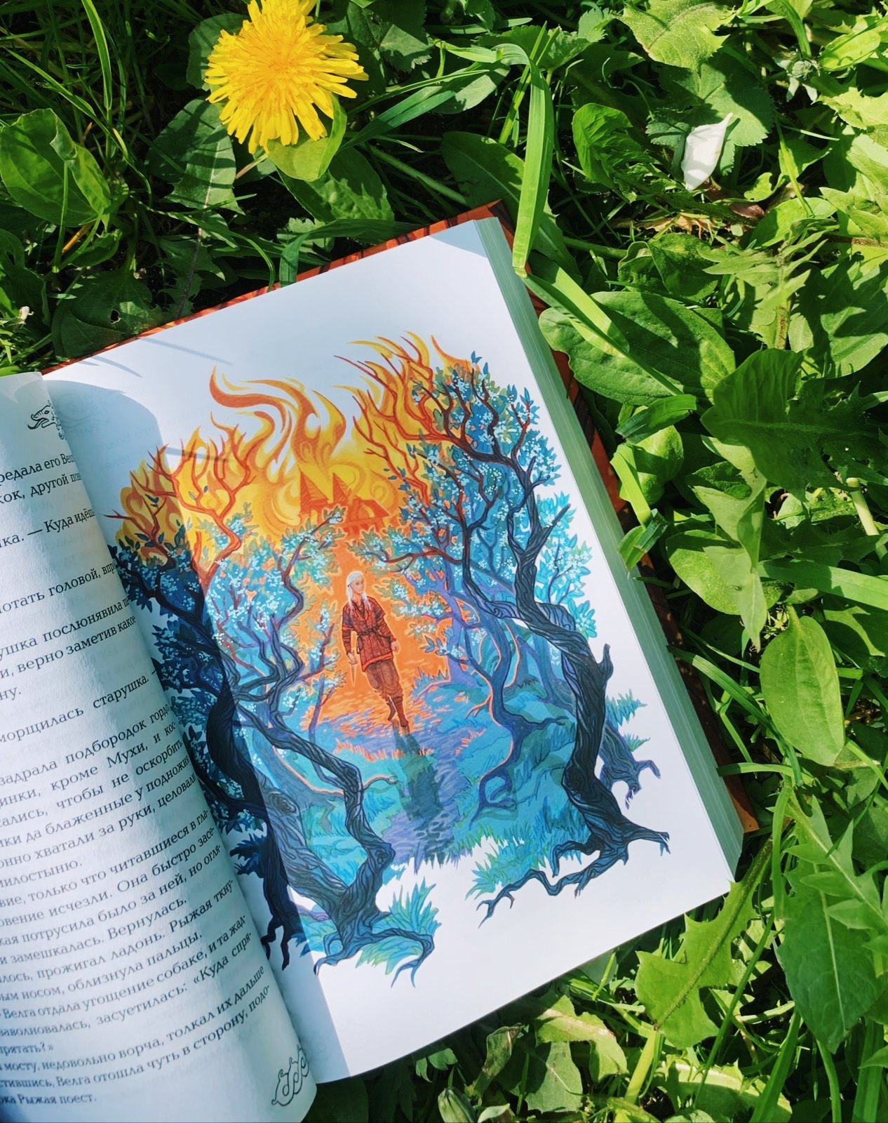 Изображение бумажной книги