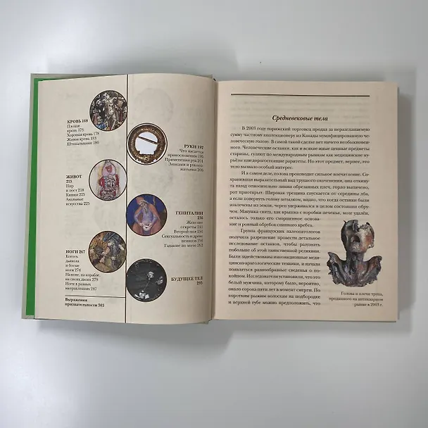 Книга Голое Средневековье. Жизнь, смерть и искусство в Средние века (Джек Хартнелл) — 12