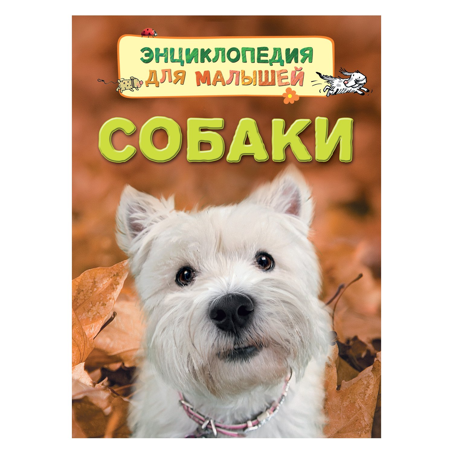 

Собаки
