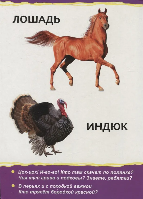 Книга Домашние животные для малышей () — 3