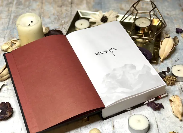 Книга Жажда (Трейси Вульф) — 11