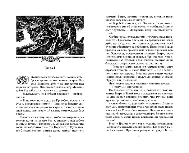 Книга Четвертый оруженосец (Эрин Хантер) — 5