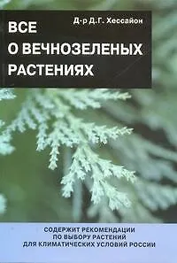 Все о вечнозеленых растениях