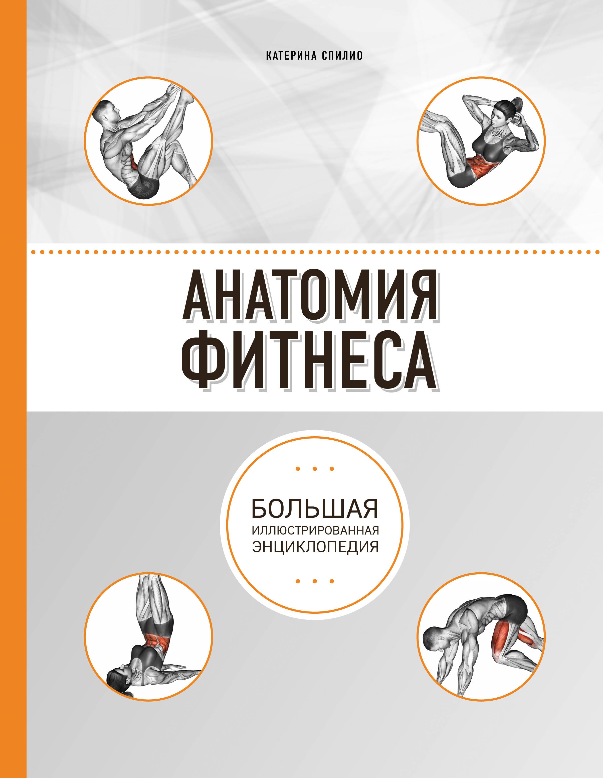 

Анатомия фитнеса