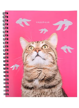 Тетрадь в клетку Listoff, "Котики", 80 листов, в ассортименте 2901043