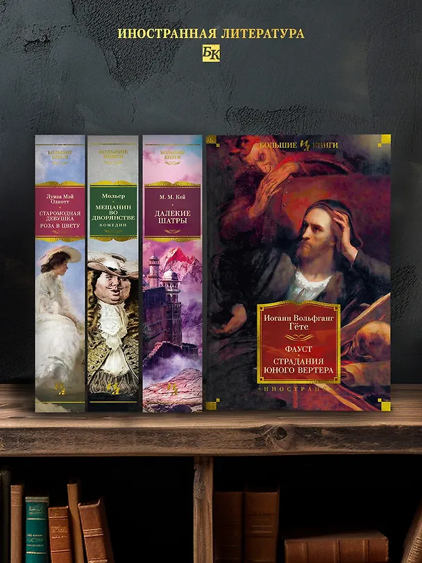Книга Фауст. Страдания юного Вертера (Иоганн Вольфганг Гёте) — 6