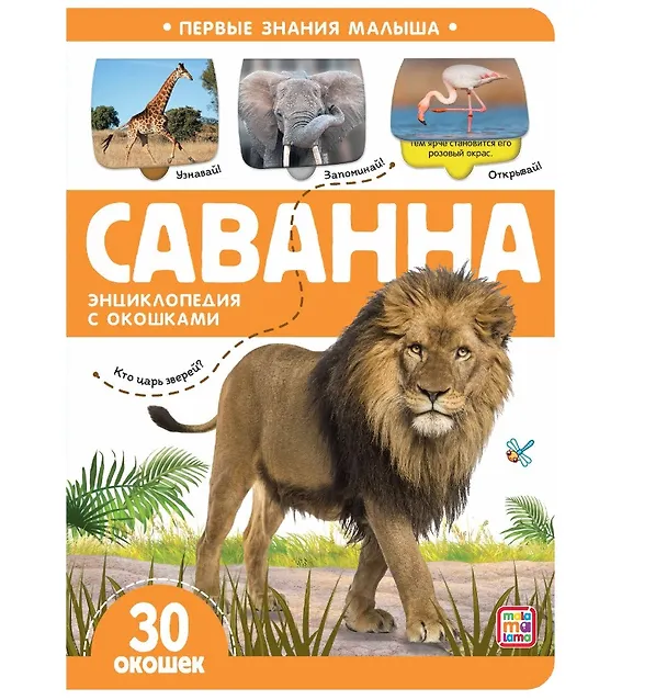 Книга Саванна. Книжка с окошками () — 1