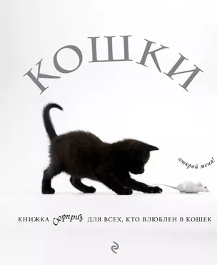 Кошки. Книжка-сюрприз для всех, кто влюблен в кошек (Лицензия) — 2582654 — 1