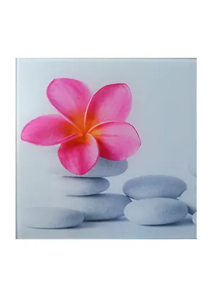 Картина стекло Розовый цветок на камнях (AG 20-03) (20х20) 2435662