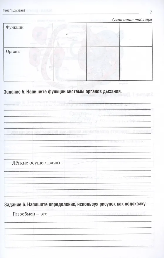 Книга Анатомия человека. Спланхнология. Часть 5. Дыхательная система. Мочевыделительная система. Половая система. Тетрадь-практикум (Ольга Абанина, Анна Олсуфьева, Мария Кузнецова) — 3
