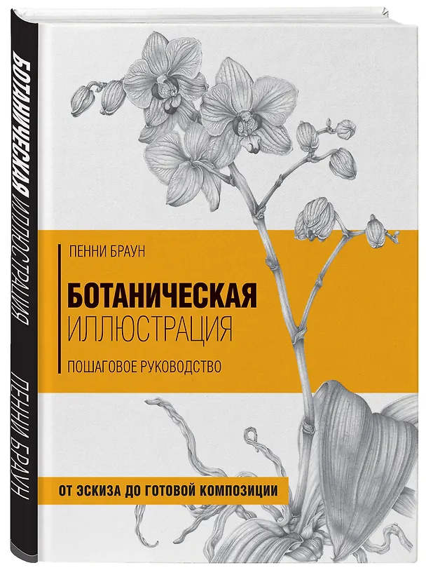Книга Ботаническая иллюстрация. Пошаговое руководство. От эскиза до готовой композиции (Пэм Браун, Браун Пенни) — 4