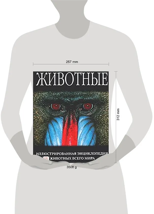 Книга Животные: Иллюстрированная энциклопедия животных всего мира (Дэвид Берни) — 2