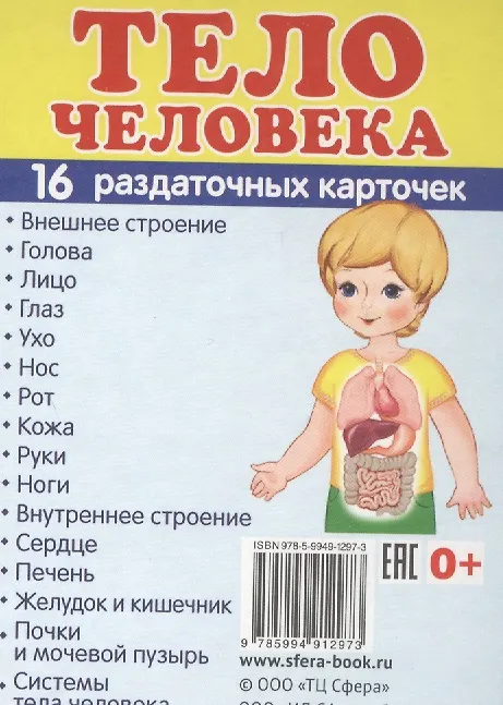 Книга Демонстрационные картинки СУПЕР Тело человека.16 раздаточных карточек с текстом (63х87 мм) () — 1