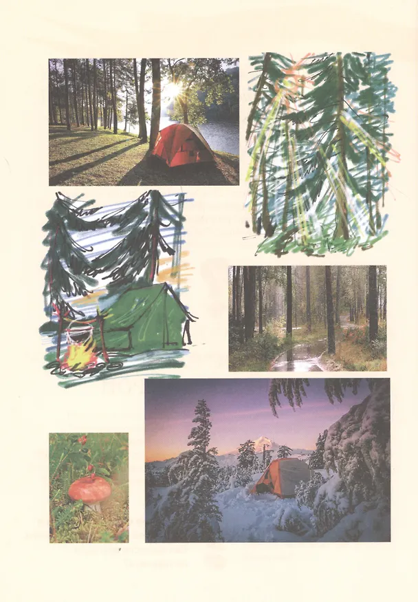 Книга Порядок на планете (Сергей Иванов) — 4