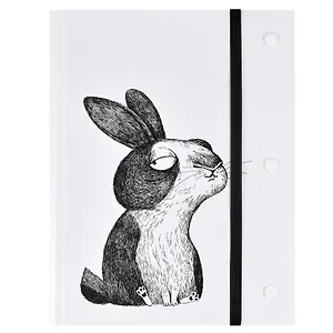 Папка для чертежей и рисунков А5 "Крэйзи зайка" пластик, 20 ПВХ-файлов