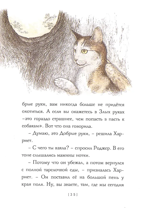 Книга Крылатые кошки (Урсула Ле Гуин) — 3