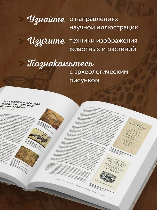 Книга Профессия — Научный иллюстратор. Руководство по иллюстрации в биологии, археологии и палеоарте () — 9