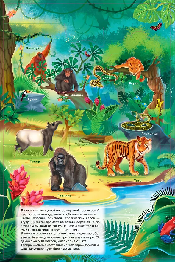 Книга Животные (Оксана Иванова) — 4