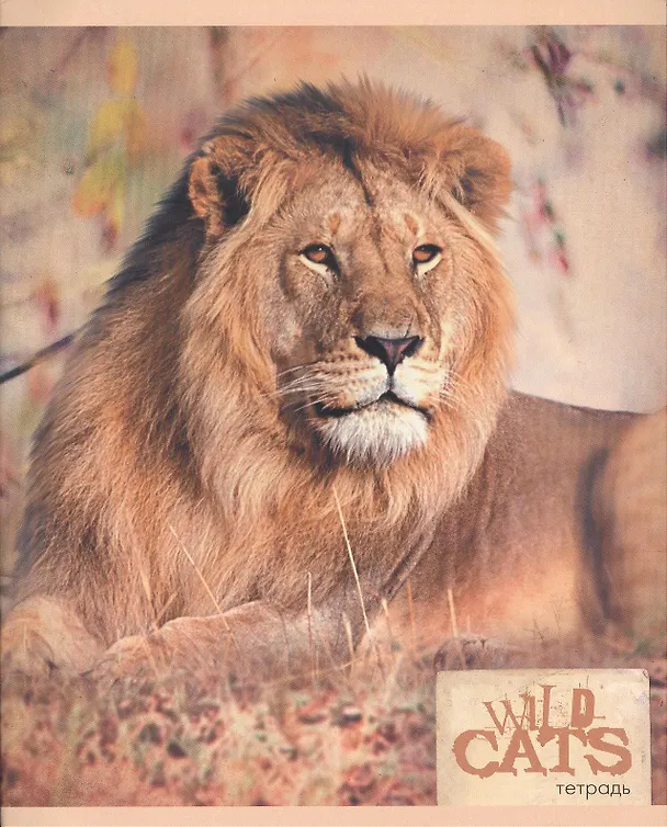 Тетрадь 48л кл. "Хищники (Wild cats)" мел.картон, ассорти, Unnika 227287 — 2