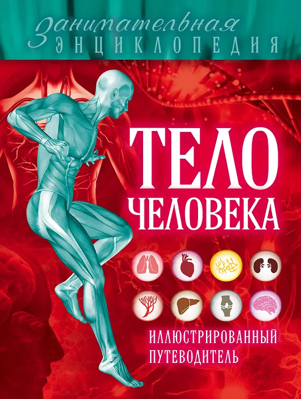 Книга Тело человека: иллюстрированный путеводитель (Дмитрий Лукашанец) — 1