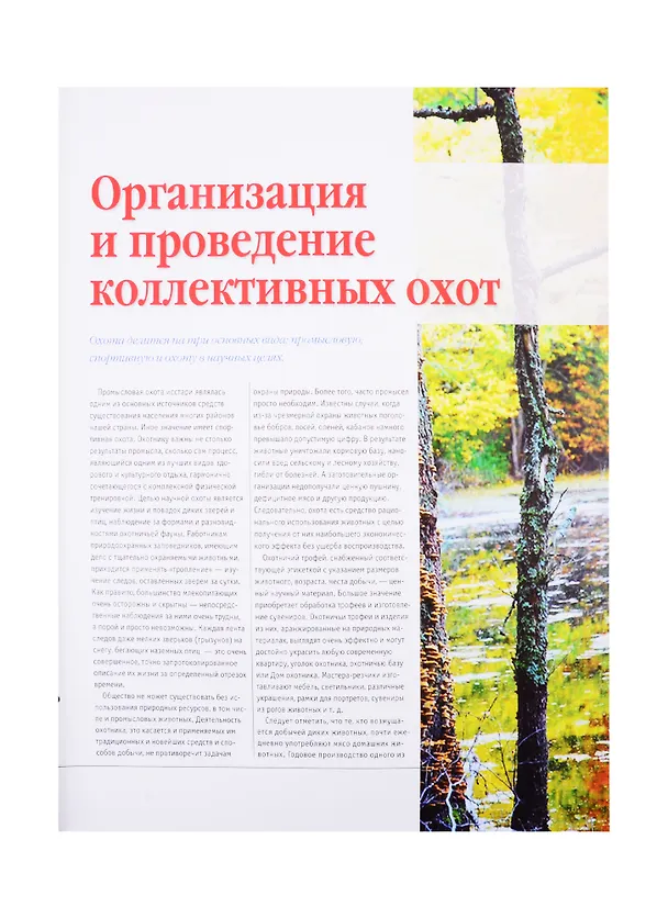 Книга Охота. Большая энциклопедия: Тактика и стратегия. Огнестрельное и холодное оружие. Охотничьи трофеи (Алексей Виноградов) — 6