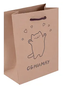 Пакет А4 32*23*9 "Обнимяу" крафт, женск.