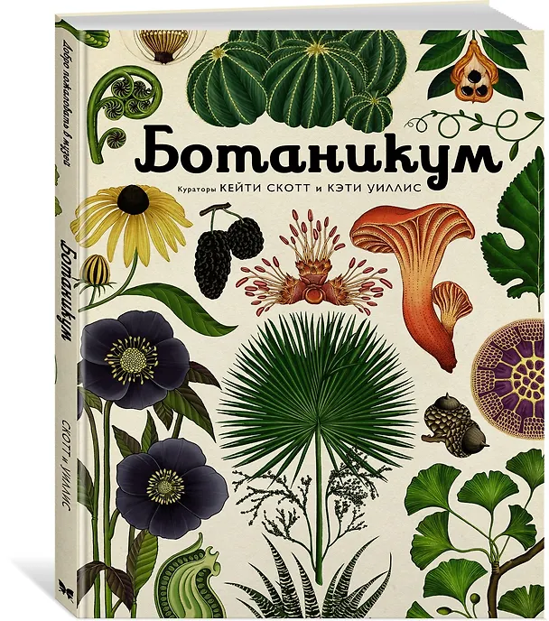 Книга Ботаникум (Кэти Уиллис) — 4