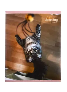 Тетрадь в клетку Unnika, "Игривый кот", 48 листов, в ассортименте