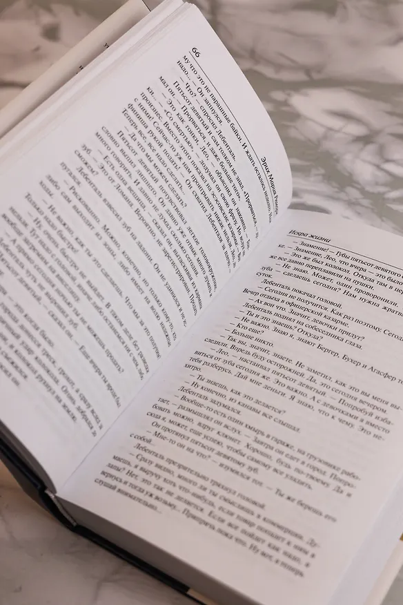 Книга Искра жизни (Эрих Мария Ремарк) — 14