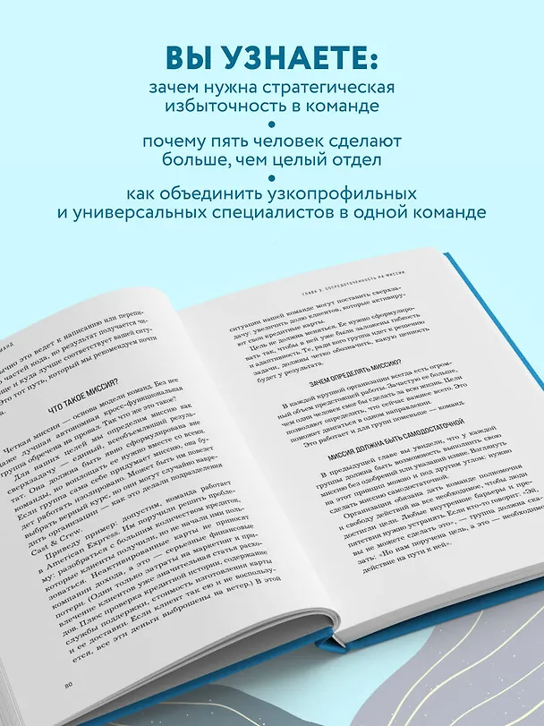 Книга Система малых команд. Радикальный способ повысить эффективность бизнеса (Брэйди Брим-ДеФорест) — 7