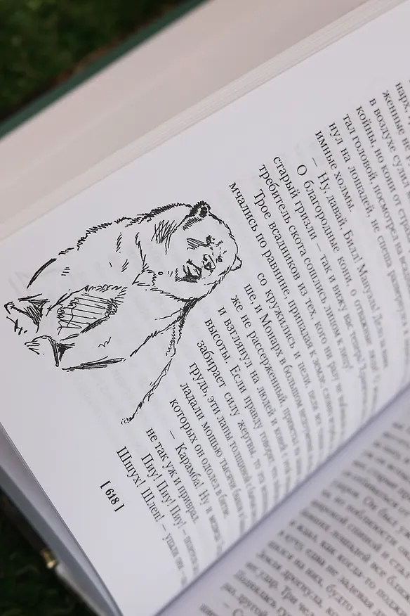 Книга Рольф в лесах. Лесные рассказы (Эрнест Сетон-Томпсон) — 18