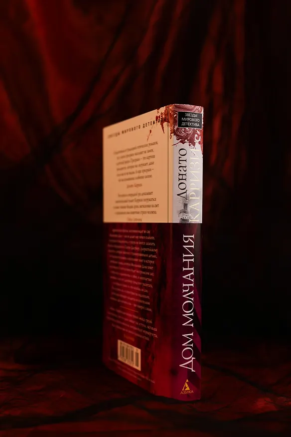Книга Дом молчания (Донато Карризи) — 11