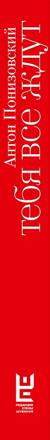 Книга Тебя все ждут (Антон Понизовский) — 3