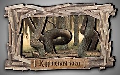 Сувенирный магнит Танцующий лес (дерево) (9х5) (Тл1) 3101970 — 1