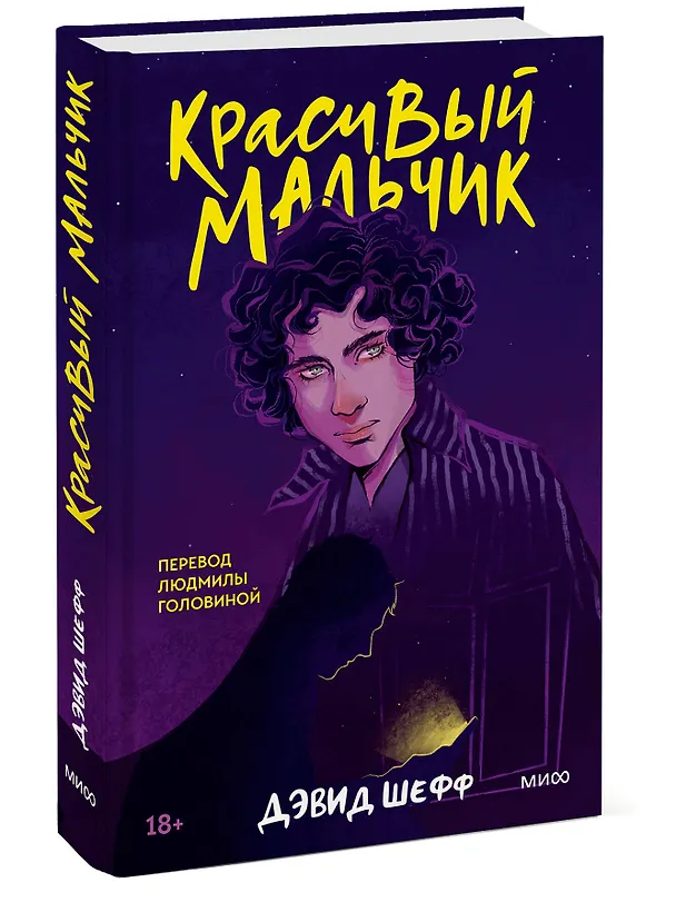 Книга Красивый мальчик (Дэвид Шефф) — 3