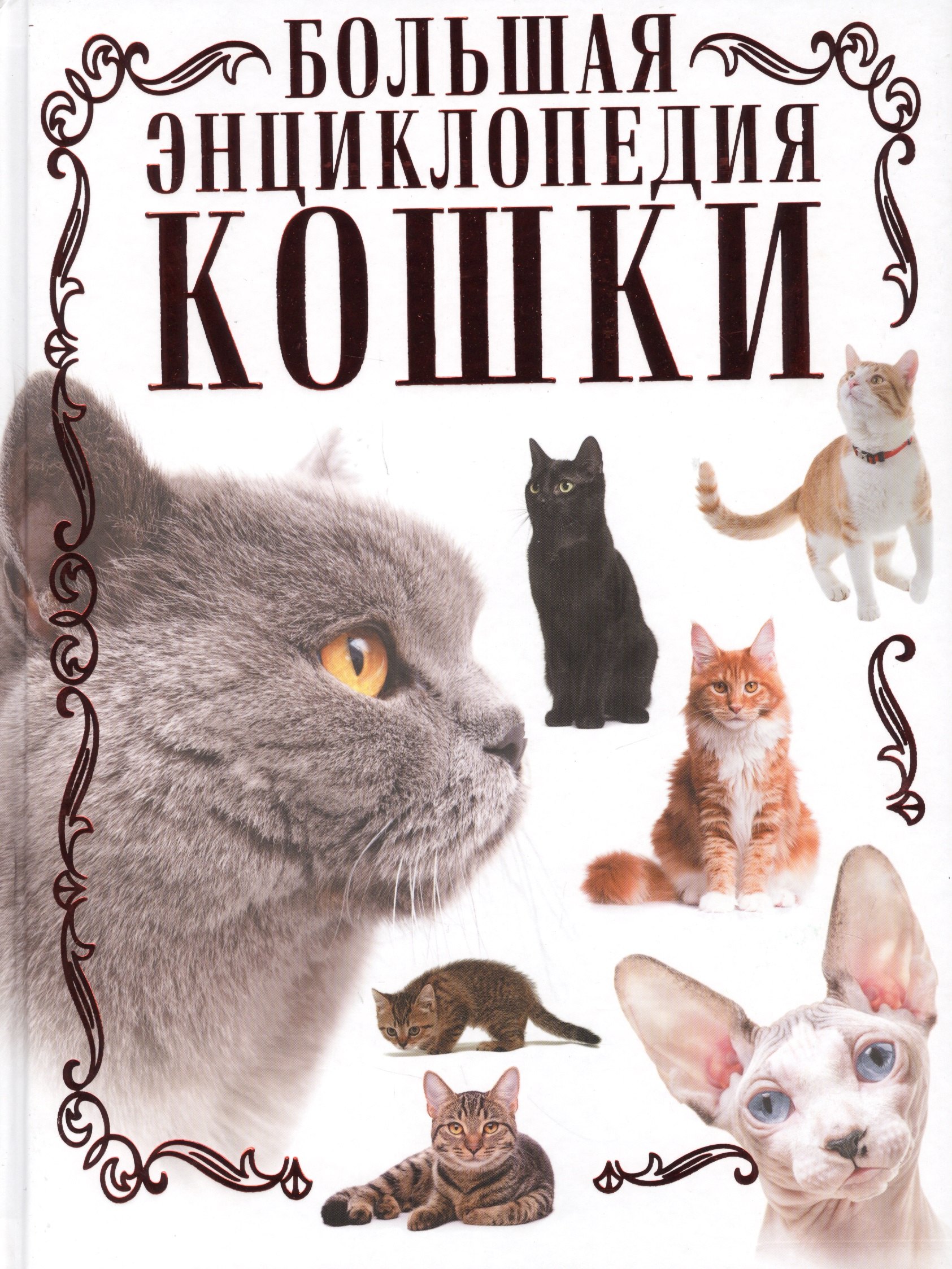 

Кошки. Большая энциклопедия