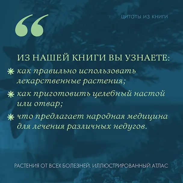 Книга Растения от всех болезней. Иллюстрированный атлас () — 5