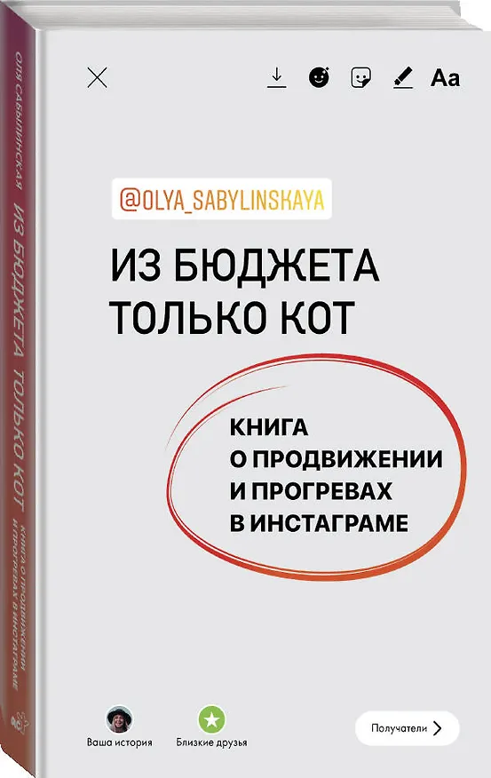 Книга Из бюджета только кот. Книга о продвижении и прогревах в инстаграме (Оля Сабылинская) — 4
