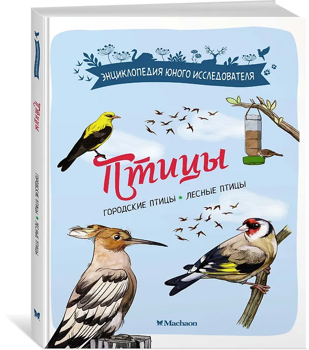 Книга Птицы (Мишель Люшези) — 4
