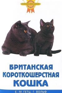 Зол.сов.Британ.короткошерстная кошка(нов)