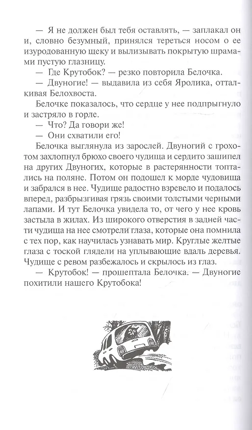Книга Новое пророчество. Кн.3. Рассвет (Эрин Хантер) — 2