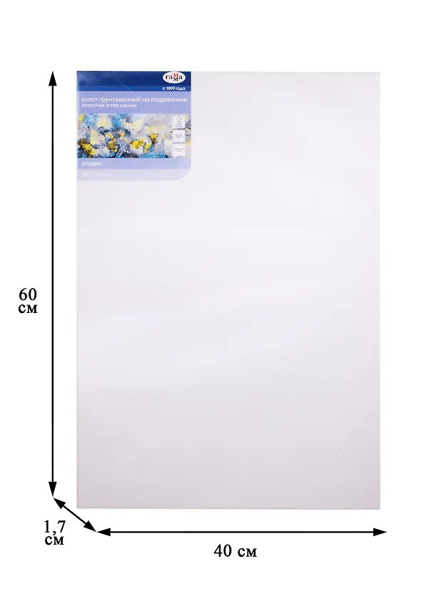 Холст на подрамнике 40*60 "Студия", 100% хлопок, мелкое зерно, Гамма 256180 — 2
